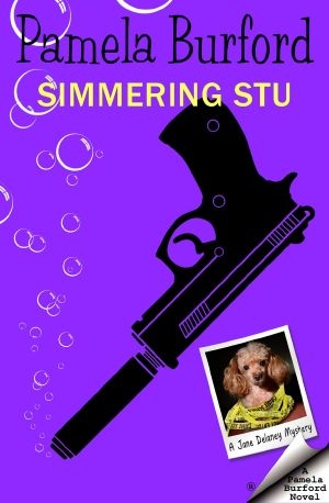 [Jane Delaney Mysteries 06] • Simmering Stu